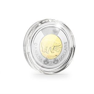 Ultra Perfect Fit coin capsules