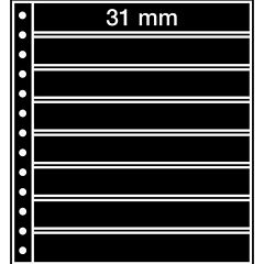 8x  248 x 31 mm