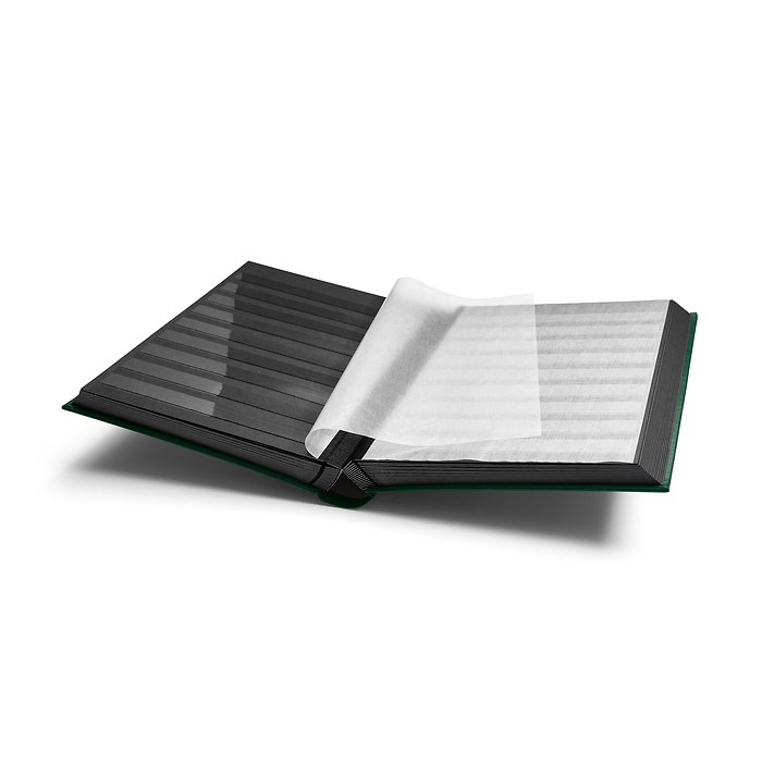 A4 Stock Book COMFORT, 64 black pages, padded cover, green
