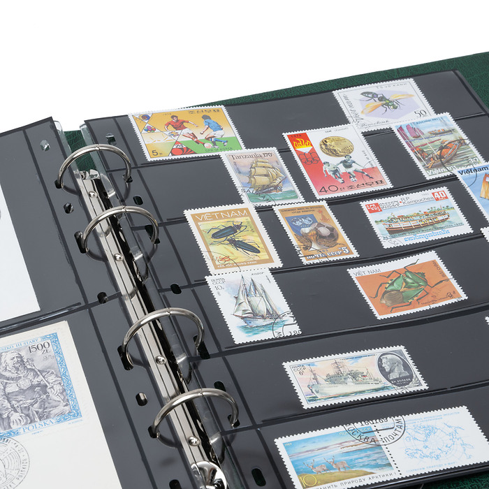 OPTIMA Ringbinder-Set. green