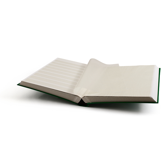 Stockbook BASIC, DIN A4, 64 white pages, non-padded cover, green