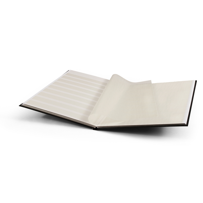 Stockbook BASIC, DIN A4, 16 white pages, non-padded cover, black
