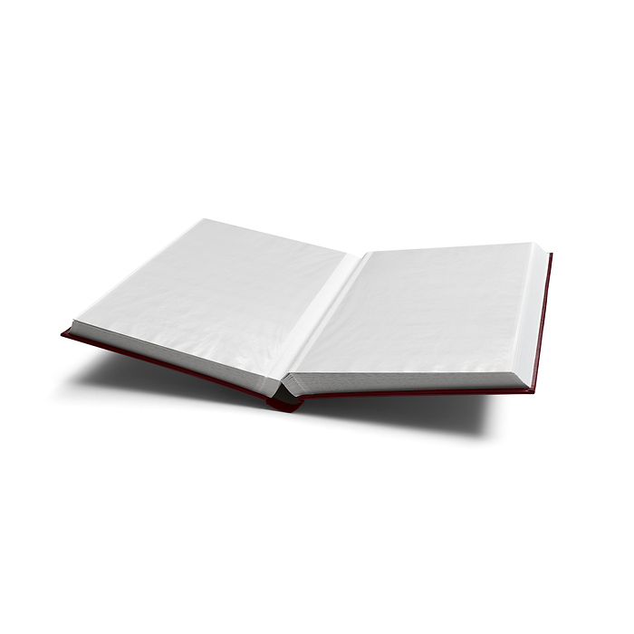 A4 Stock Book COMFORT, 64 white pages, padded cover, red