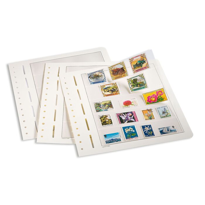 LIGHTHOUSE LB-Blank sheets, 1-way division, 205x293 mm