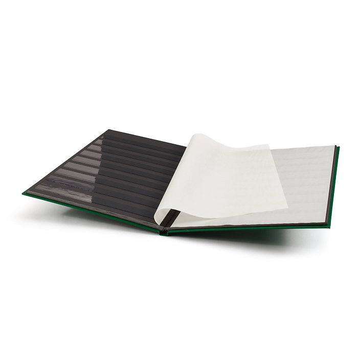 Stockbook BASIC, DIN A4, 16 black pages, non-padded cover, green