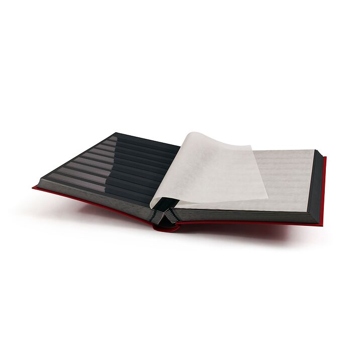 Stockbook BASIC, DIN A4, 64 black pages, non-padded cover, red