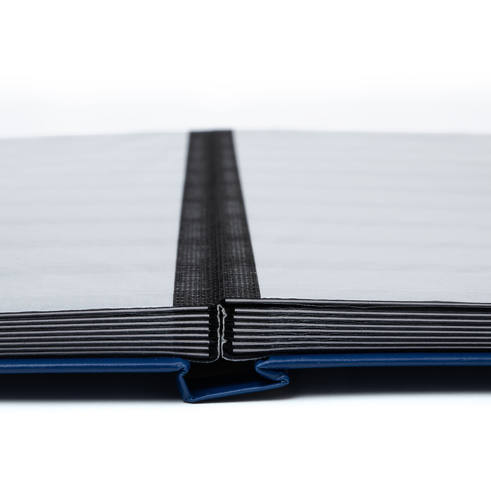 Stockbook BASIC, DIN A4, 32 black pages, non-padded cover, blue