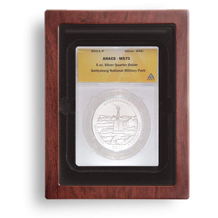 Coin Case for XL Slab NGC / ANACS