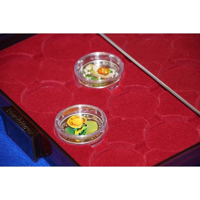 MB XL coin box for 20 Venetian Glass Mint coins