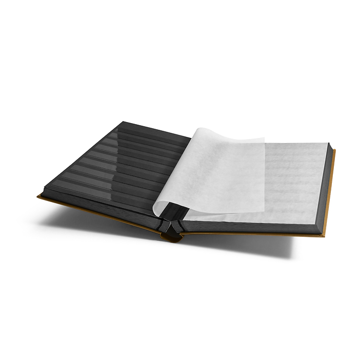 Stockbook COMFORT, Din A4, 64 black pages, padded cover, gold