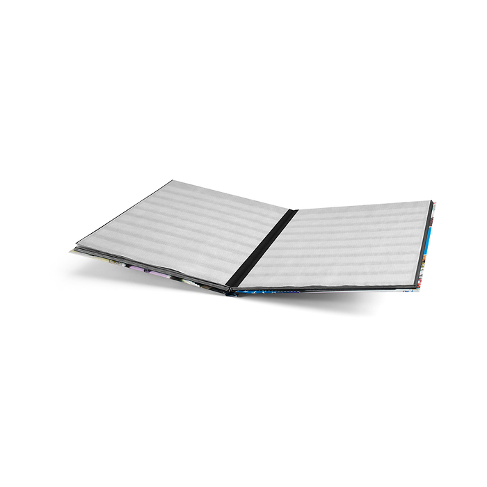 Stockbook STAMPS A4, 16 black pages, non-padded, colored cover (blue banderole)