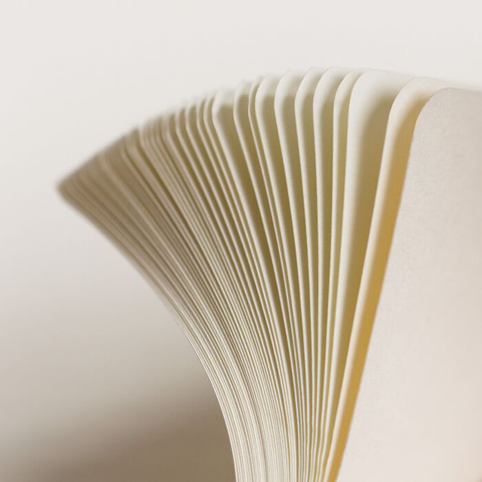 1917 Metallic Edition Notebooks Medium